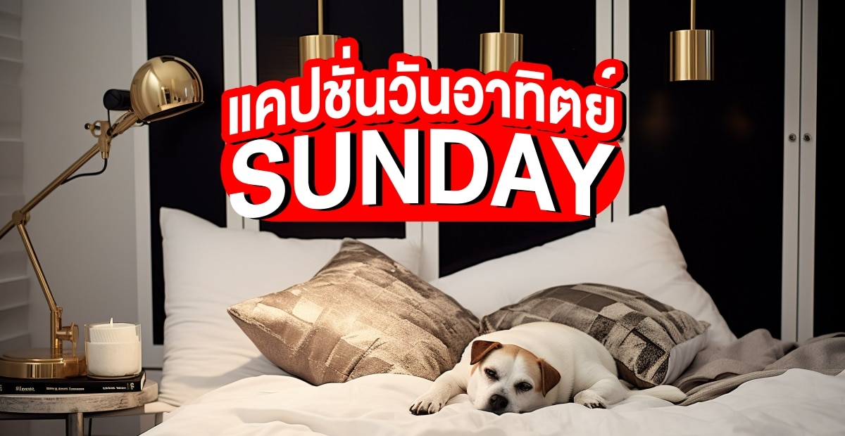 แคปชั่นวันอาทิตย์ กวนๆ ฮาๆ อ่อยๆ สู้ๆ ภาษาไทยและภาษาอังกฤษ