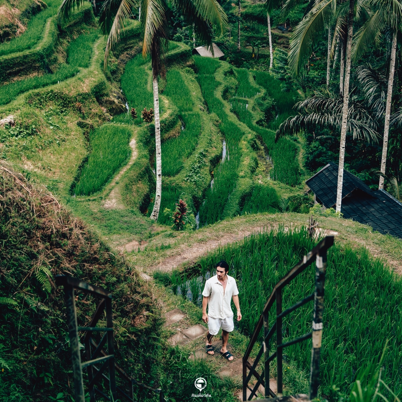 Tegalalang Rice Terrace