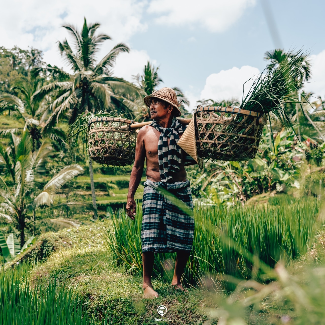 Tegalalang Rice Terrace