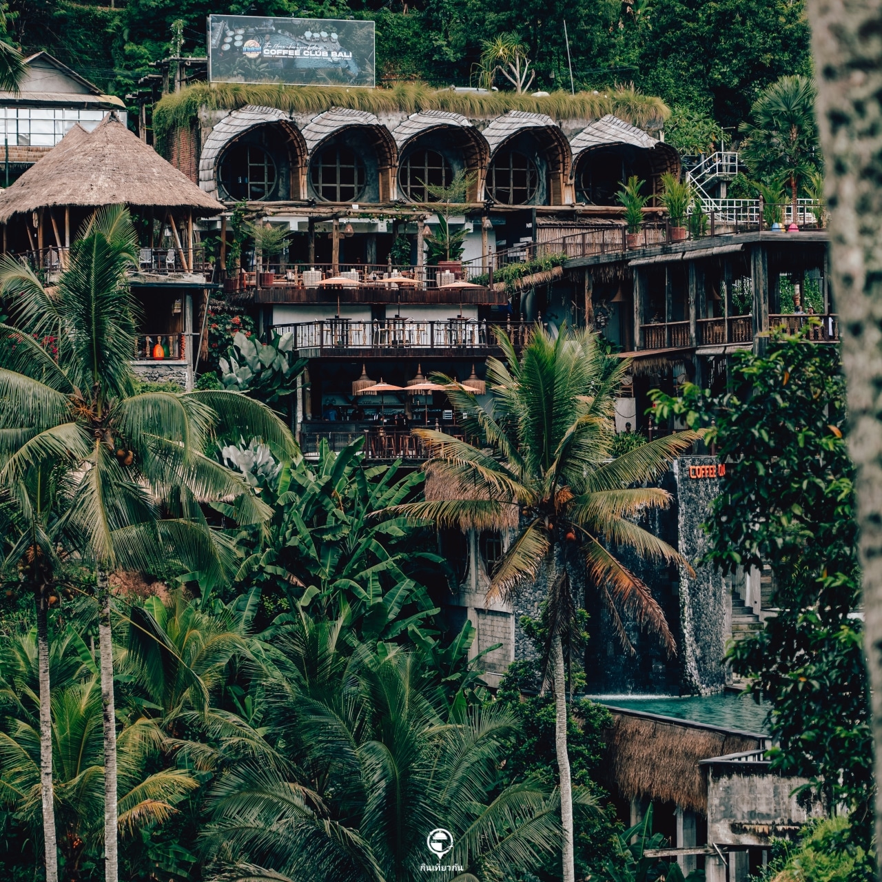 Bali Coffee Club